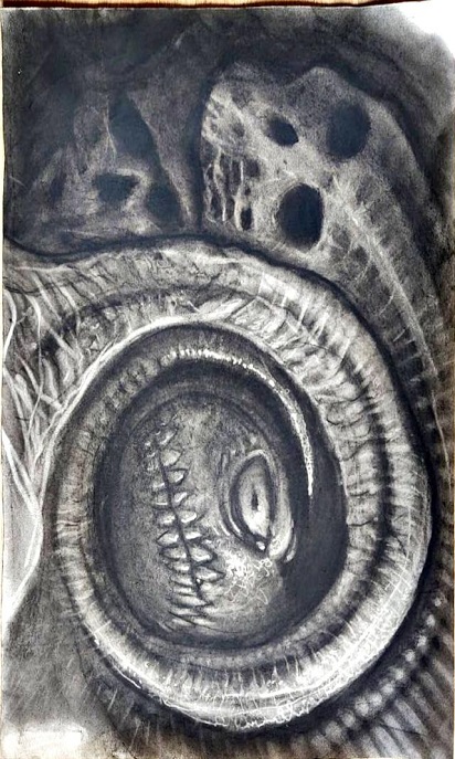 Portrait by Dima DallAcqua